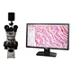 4K UHD HDMI GigE WiFi Multi Outputs Microscope Camera